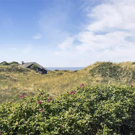 Prázdninový dům Ln1547-hirtshals-krageklit-32 *